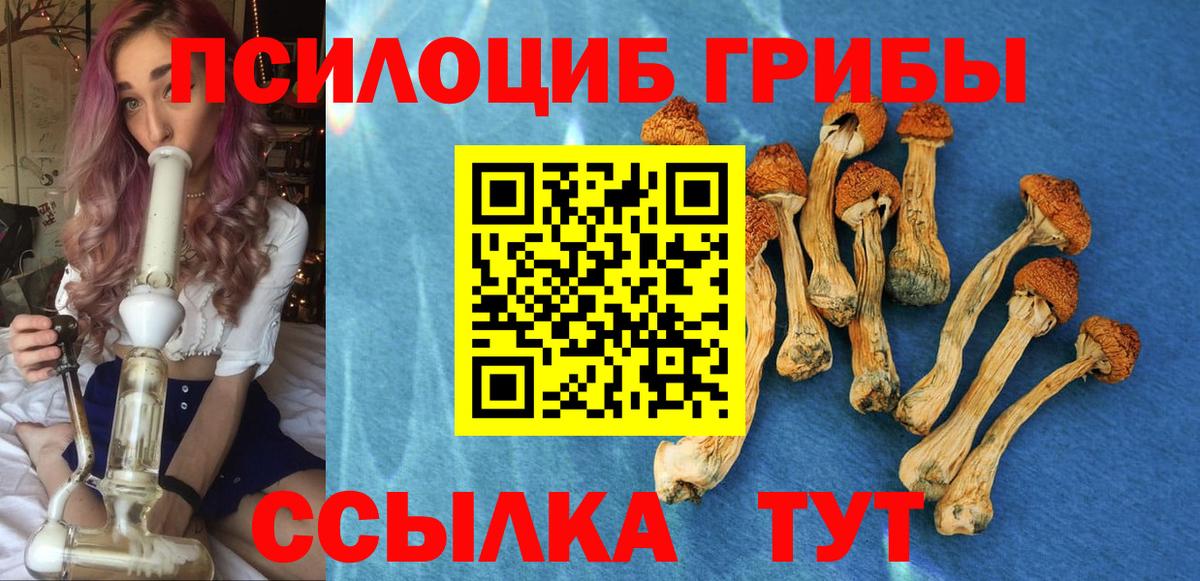 наркота  Вход с VPN  Зеленокумск  Галлюциногенные грибы Psilocybine cubensis 